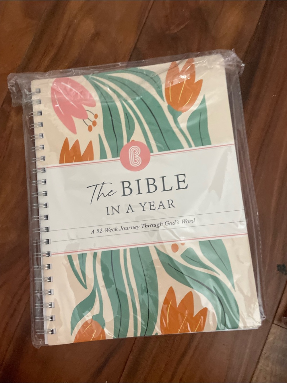 THE BIBLE IN A YEAR: A 52-WEEK JOURNEY THROUGH GOD'S WORD (SOFTCOVER)